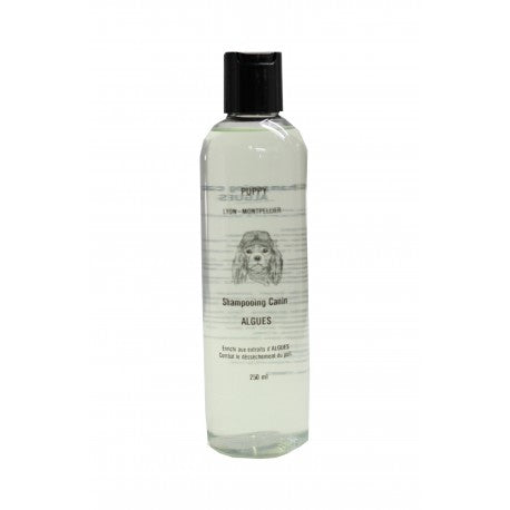 Shampoing  Algues