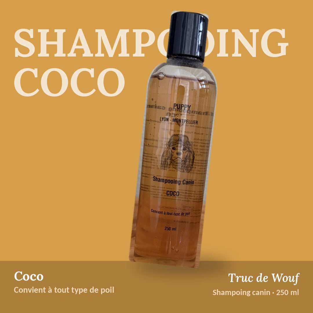 Shampoing Coco