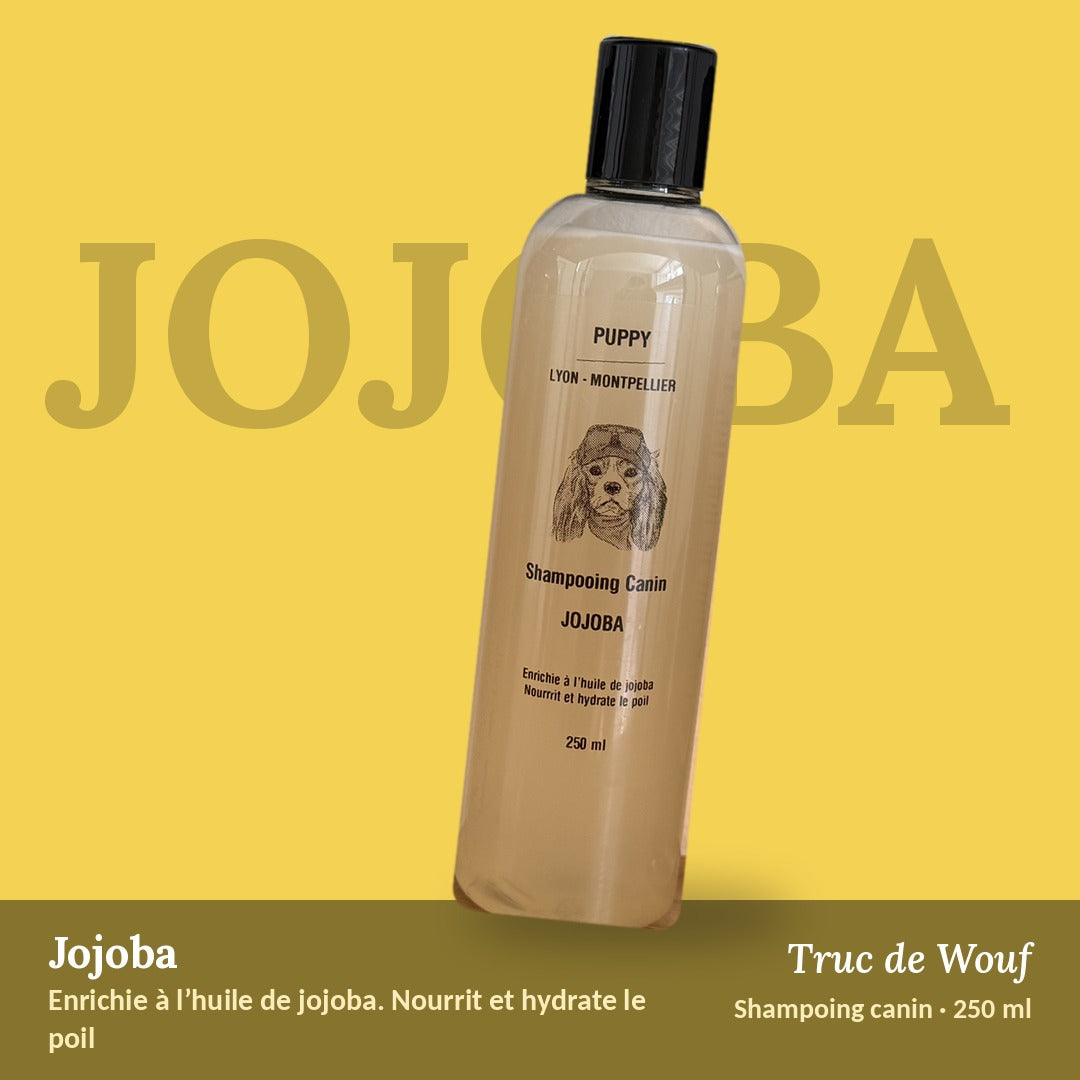 Shampoing Jojoba