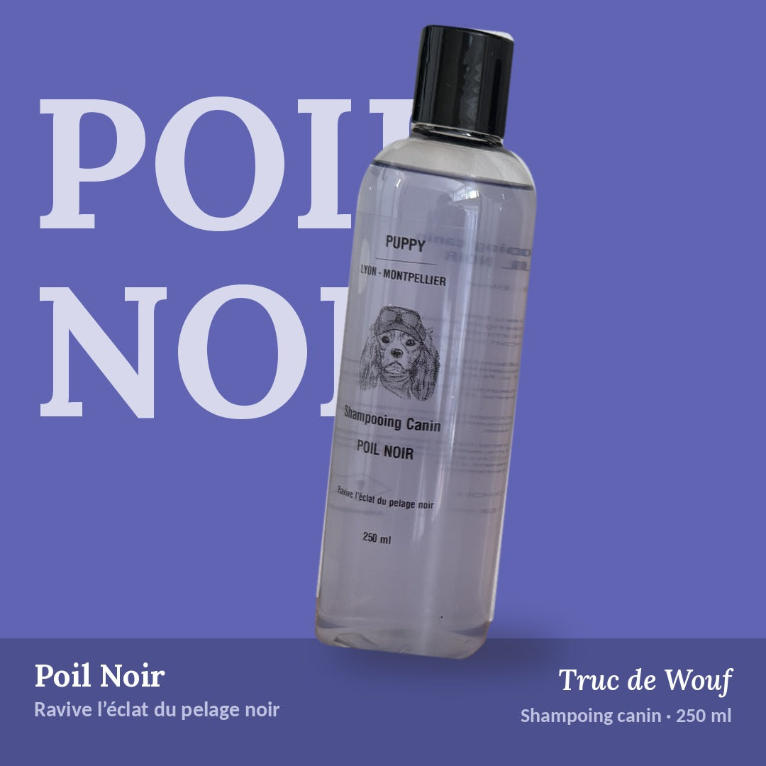 Shampoing Poil Noir